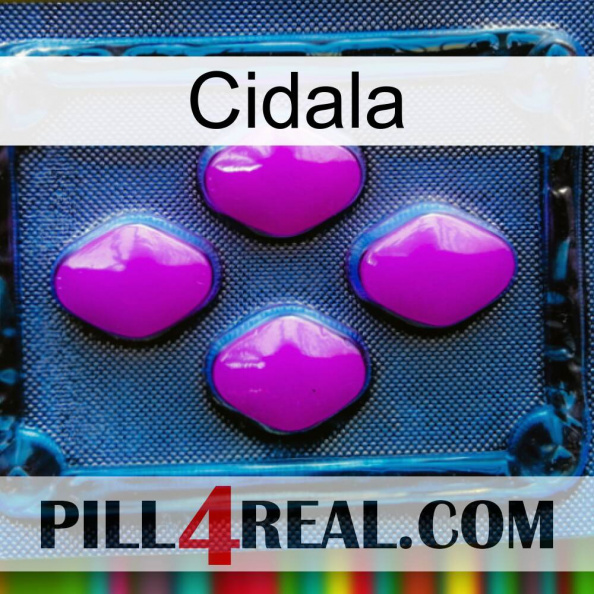 Cidala 04.jpg
